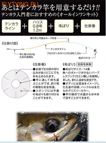 Fujino 10685   Tenkara Starter Kit (,  4)